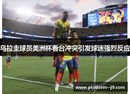 乌拉圭球员美洲杯看台冲突引发球迷强烈反应