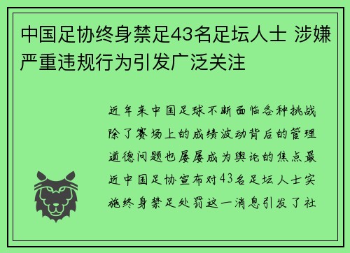 中国足协终身禁足43名足坛人士 涉嫌严重违规行为引发广泛关注 中国足协终身禁足43名足坛人士 涉嫌严重违规行为引发广泛关注