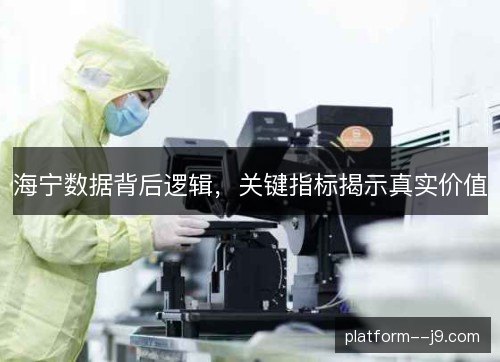 海宁数据背后逻辑，关键指标揭示真实价值